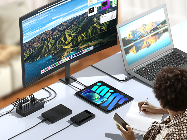 SENTANK Powered USB Hub