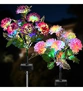 2 Pack Solar Garden Lights Outdoor, LED Colorful Waterproof Solar Powered Chrysanthemum Flowers L...