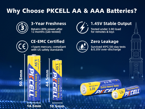 r03p r6p aa and aaa battery