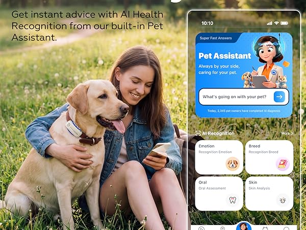 ai pet assistant