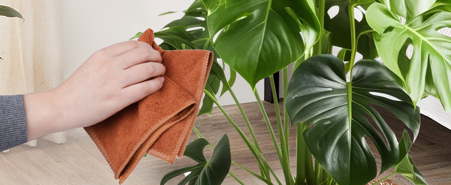 Plant Care &amp;amp; Dusting