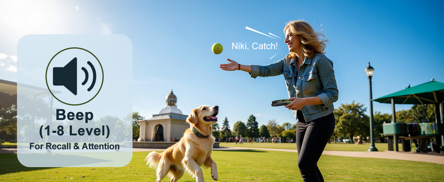 dog shock collar for large dogs