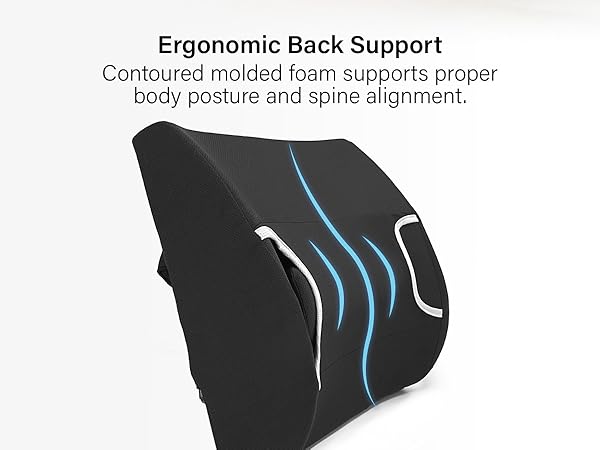 Ergonomic Back Support
