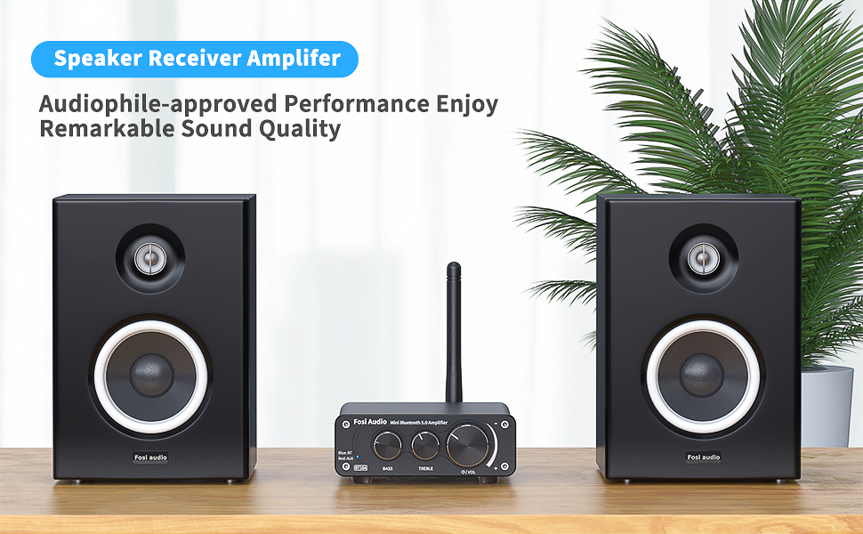 Bluetooth 5.0 Amplifier Stereo Audio Receiver 2 Channel Class D Mini Hi-Fi Integrated 