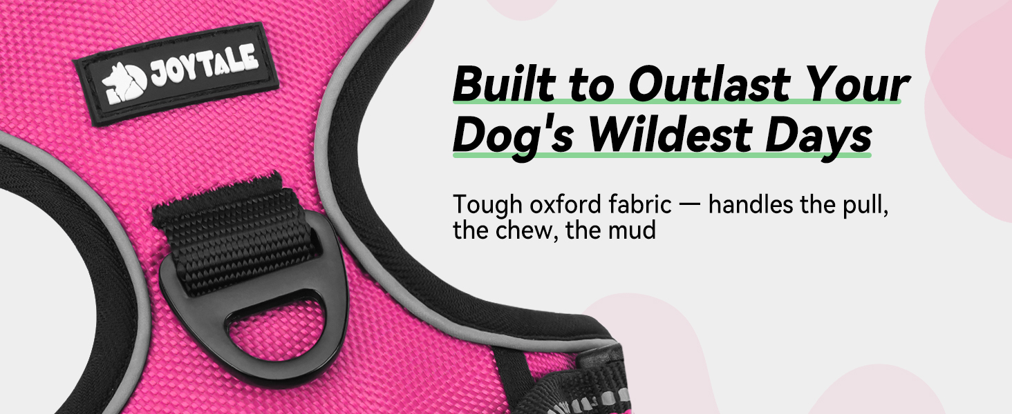 dog harness