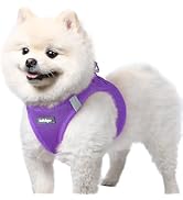 rabbitgoo Small Dog Harness, Step-in Soft Mesh Puppy Vest with Safety Buckle, Breathable Reflecti...