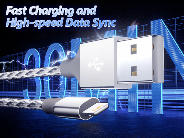 Fast Charging and High-Speed Data Sync