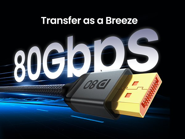 80gpbs vesa certified