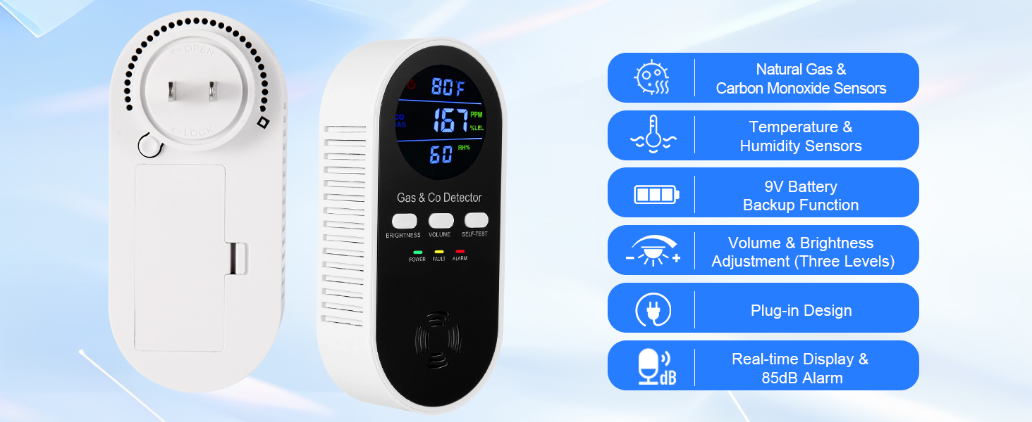 Natural gas detector and carbon monoxide detectors