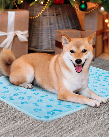 cooling mat for dogs
