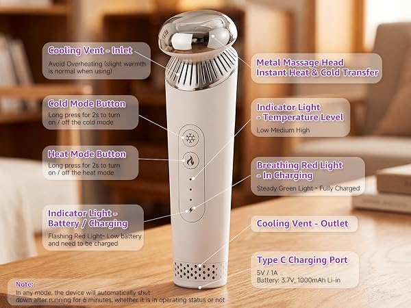 5. ice face roller