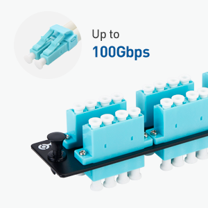 6-Port Fiber Patch Panel with 6 Duplex LC Fiber Optic Adapters