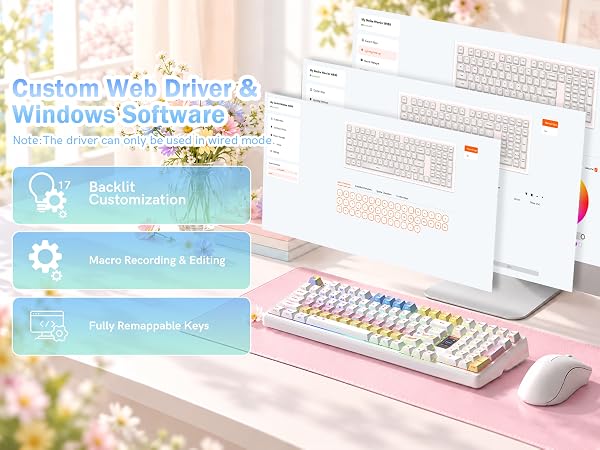 ONLINE CUSTOM WEB
