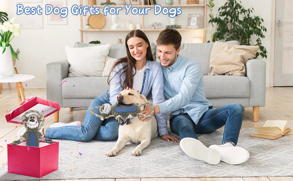 dog toys for large dogs