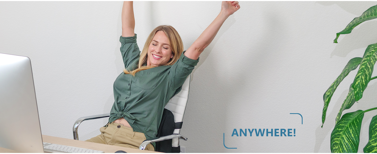 lumbar support back pillow