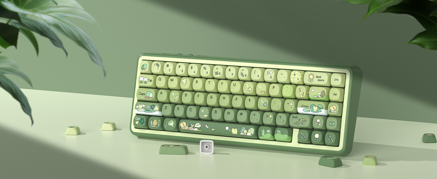 Green Frog Keycap Set, PBT Custom Keycaps 60% 75% 100%,dye Sublimation Keyboard Key caps,MOA Profile