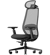 ProtoArc Ergonomic Office Chair with Lumbar Support – EC200 High-Back Mesh Computer Chair, 3D Adj...