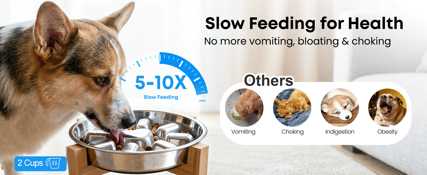 stainless steel slow feeder