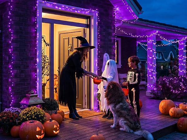 Halloween decor