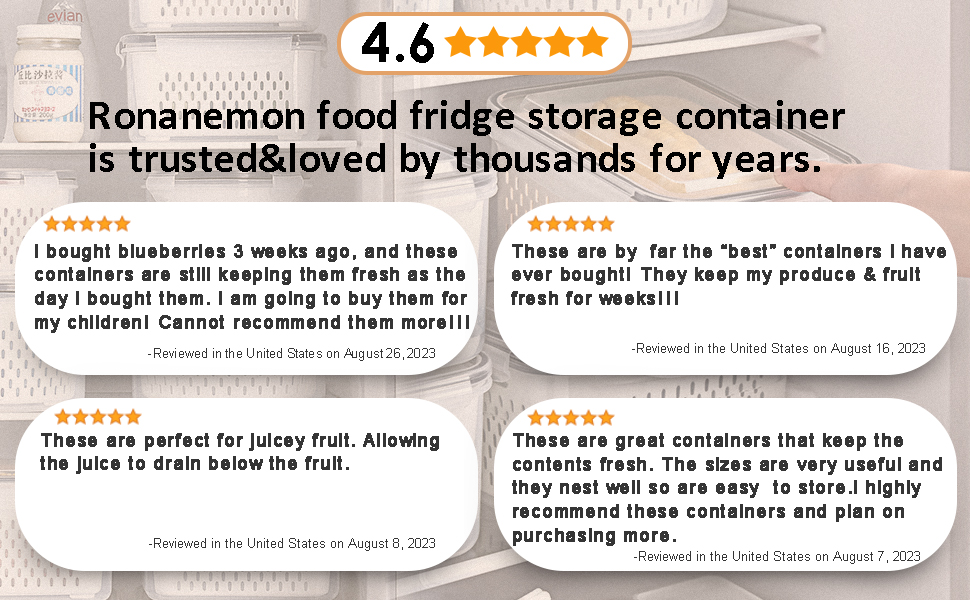 Fridge Food Storage Container
