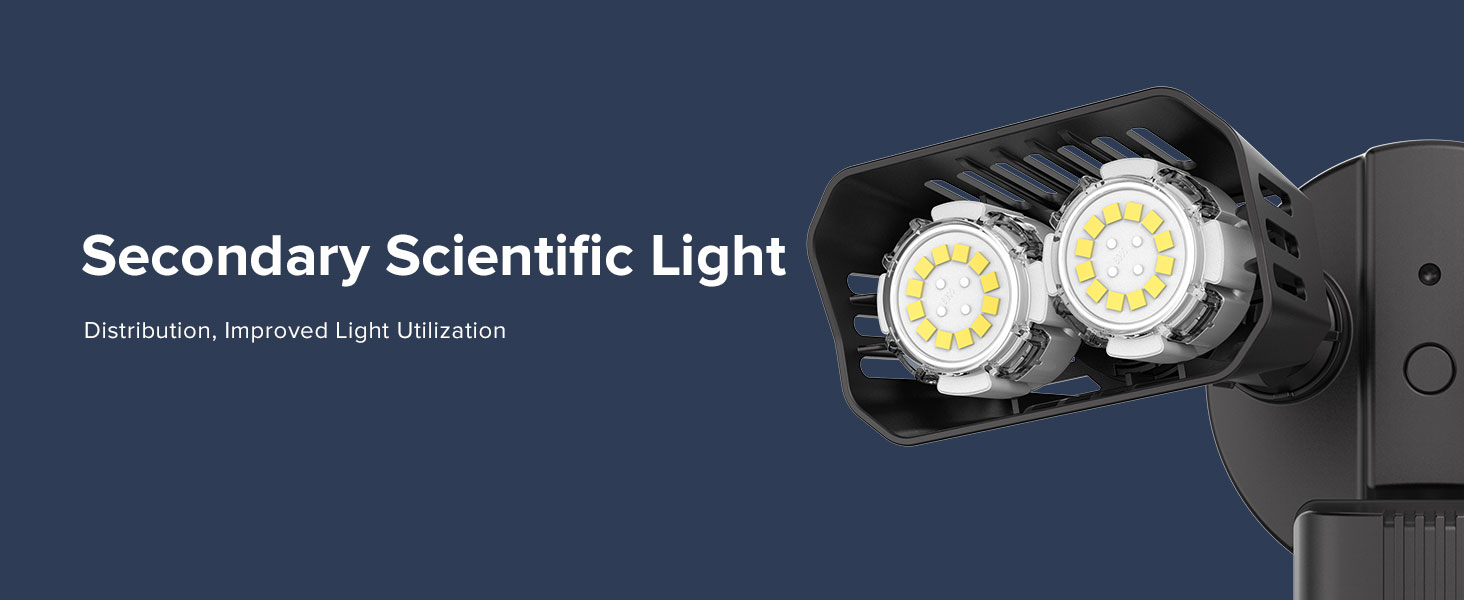 seconday scientific light