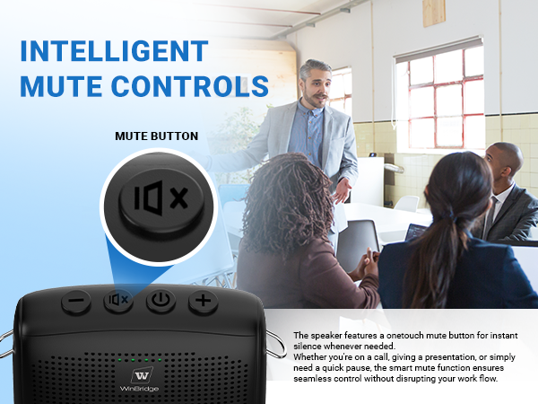 portable voice amplifier