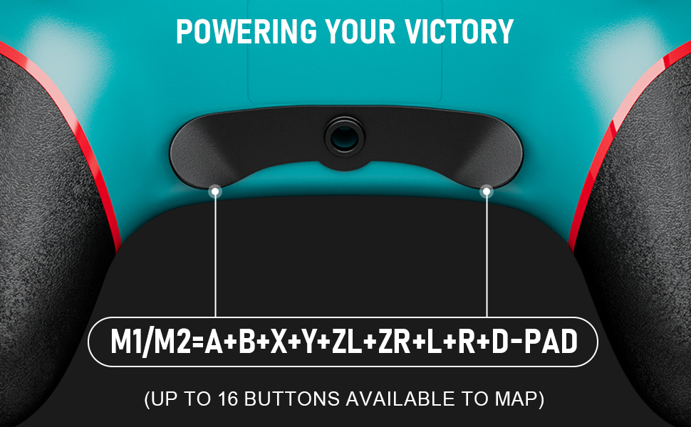 pro controller for nintendo switch with 2 mappable buttons to program many keys to one for combos