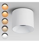 Ajbvp Modern LED Ceiling Spotlight 5CCT 4.72 inches 18W Dimmable Ceiling Light,2700K-5000K,for Li...