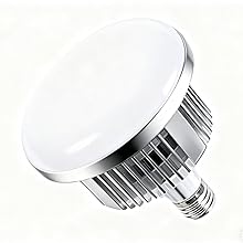 Photography Lighting Kit