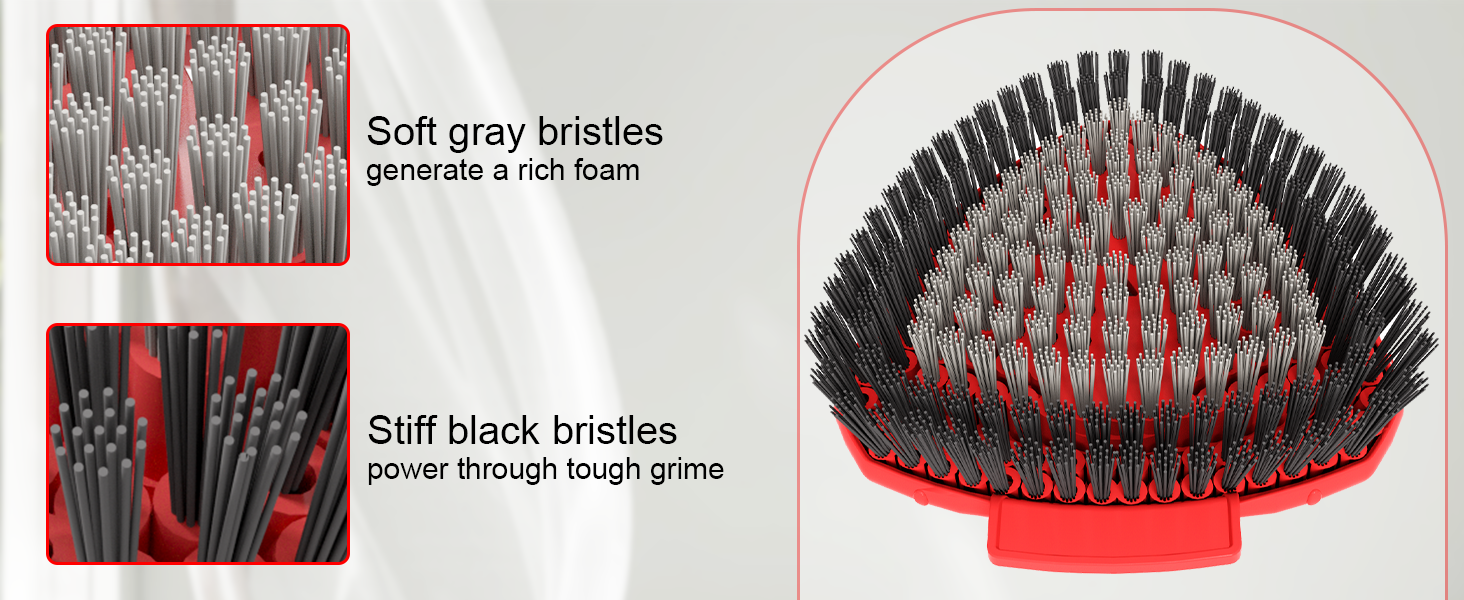 bristles