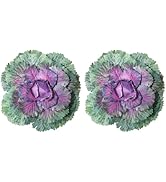 Hoppwodd 2PCS Faux Cabbage Spring Outdoors, Artificial Vegetables Realistic UV Resistant, Fake Or...
