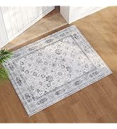 Rugcomf Door Mat Indoor Entrance 2x3 Rug Machine Washable Small Area Rug Non-Slip Low Pile Throw ...