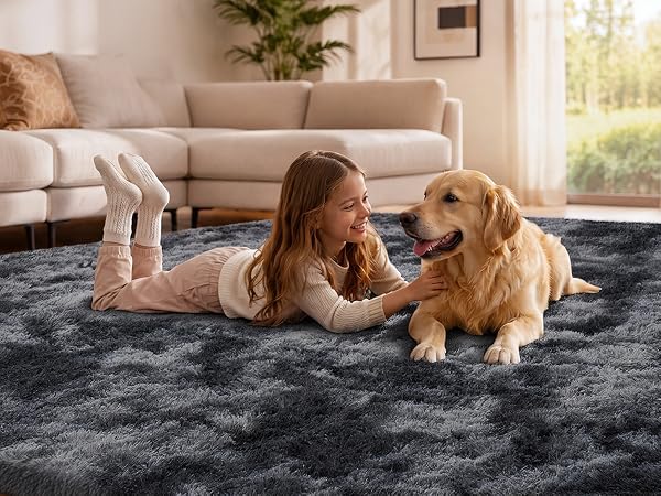 Rug for Living Room
