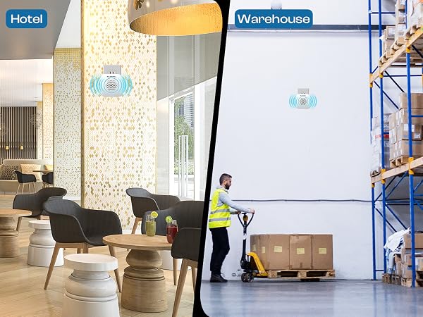 Hotel and Warehouse