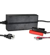 Renogy 24V 10A AC-to-DC LFP Portable Battery Charger Plug-and-Play with 14AWG Alligator Clips for...