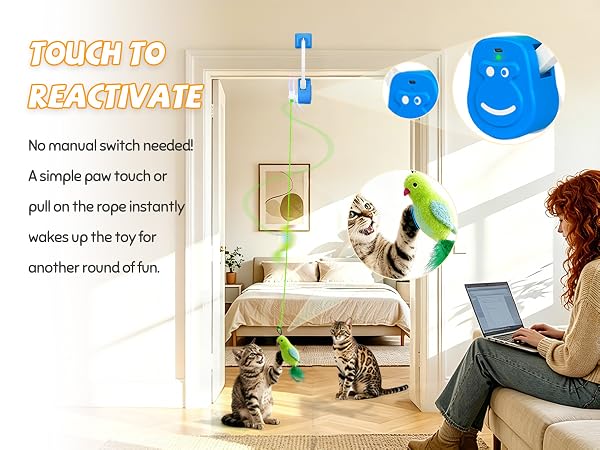 Motion activated door frame cat toy for indoor cats with touch reactivation