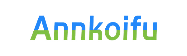 magnetic camera mount