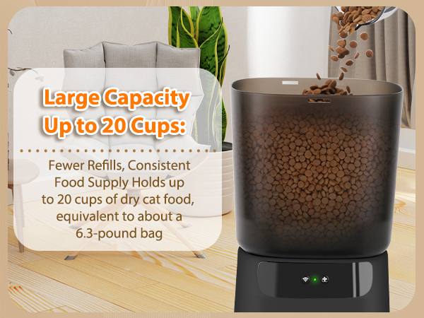 timed cat feeders for dry food