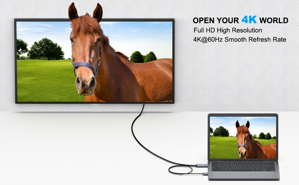 000344grey_section_h