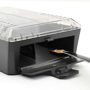 The Victor Catch &amp; Hold Mouse Trap is easy to use