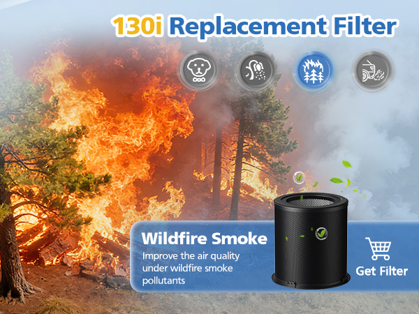 130i Replacement Filter