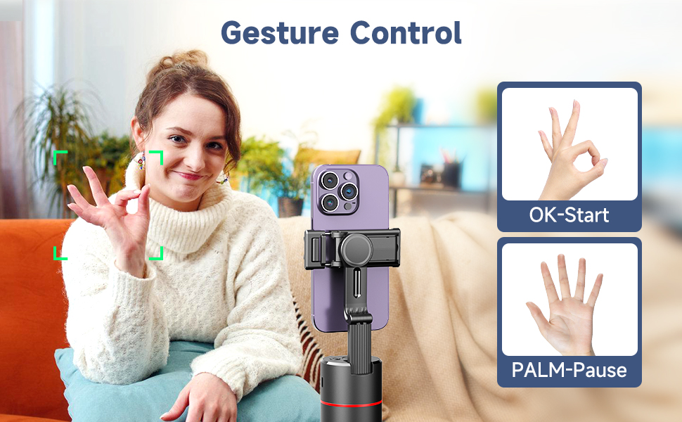 Gesture Control