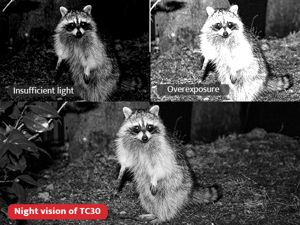 Equipped with 36pcs 850nm infrared LEDs the trail camera does not disturb wildlife even in the dark