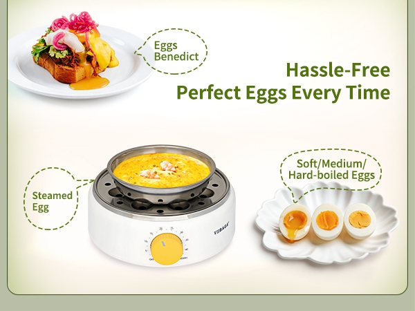 rapid egg boiler