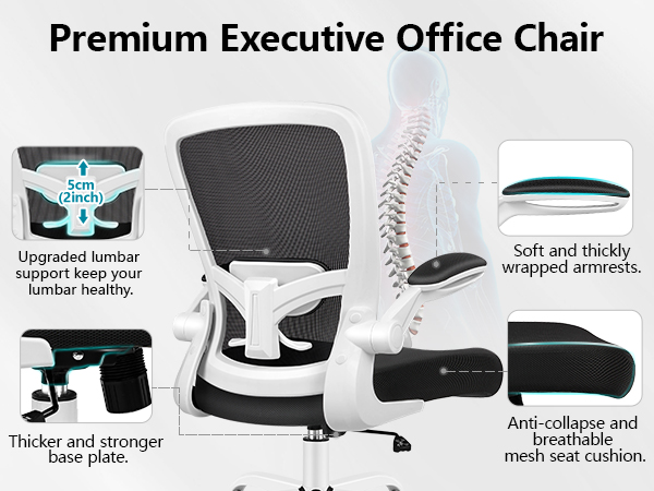 premium executive office chair