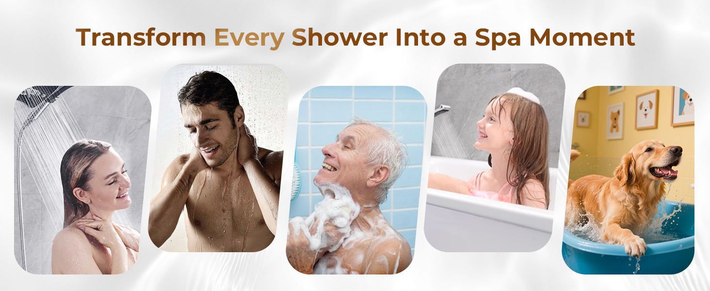 shower head with handheld
