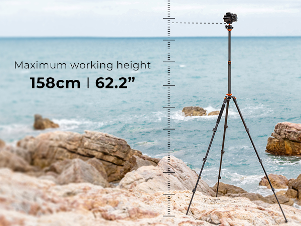 62 inch Working Height