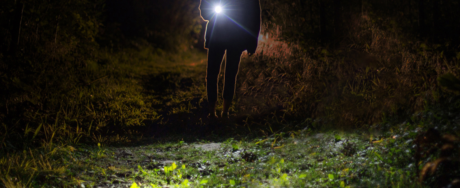 WORKPRO 4PK 2AAA Aluminium Pen Light Set