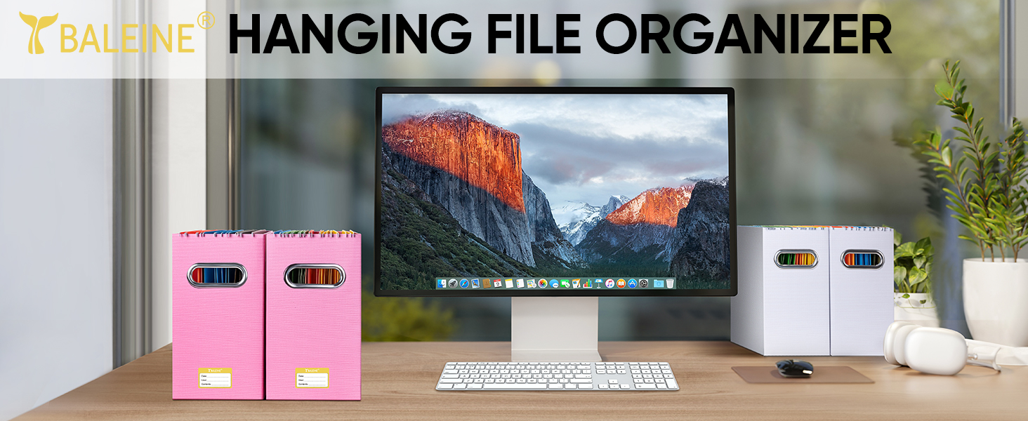 Hanging File Organizer