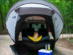 sportz cove, vehicle awning, vehicle tent, suv tent